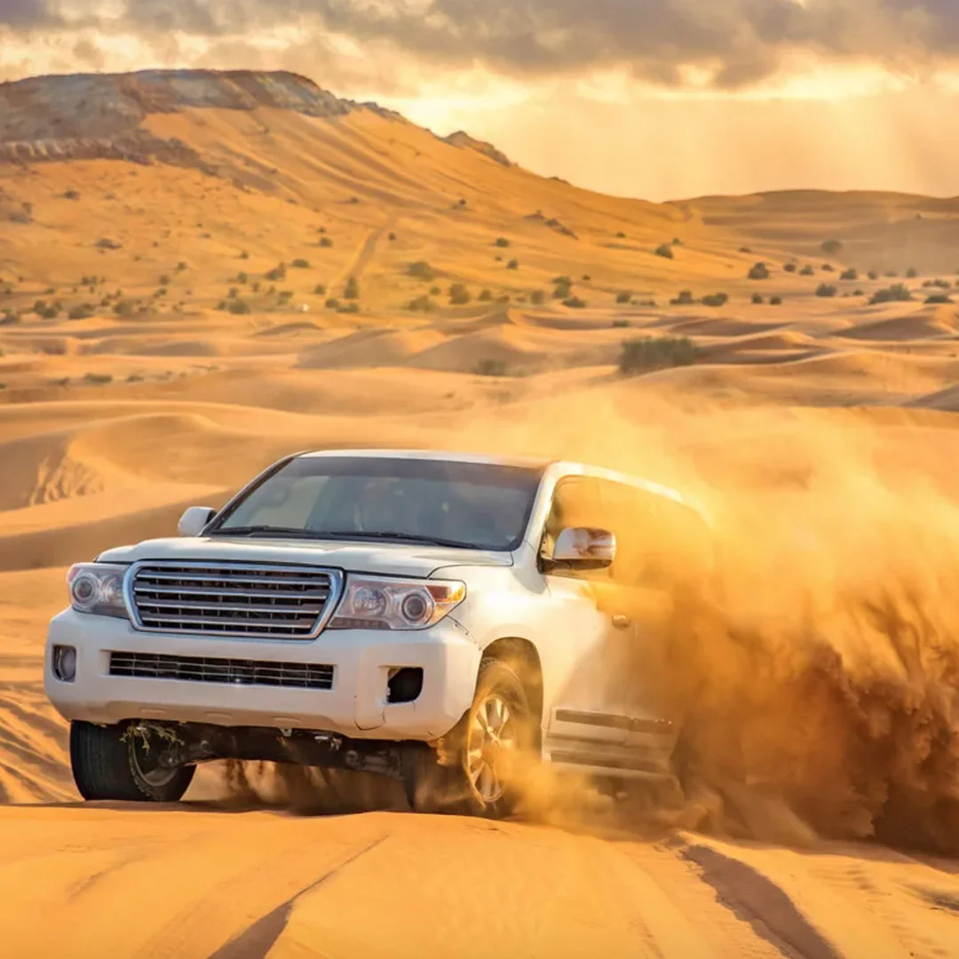 تصویر سافاری دبی